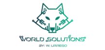 World Solutions